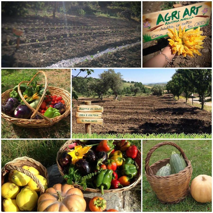 Agri Art Villa San Benedetto Ullano Buitenkant foto