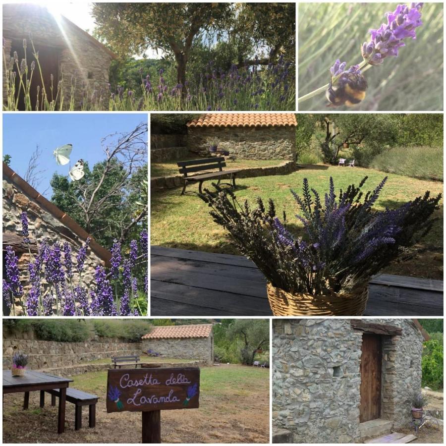 Agri Art Villa San Benedetto Ullano Buitenkant foto