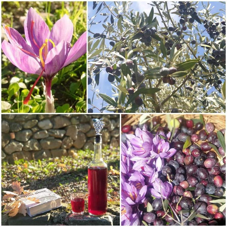 Agri Art Villa San Benedetto Ullano Buitenkant foto