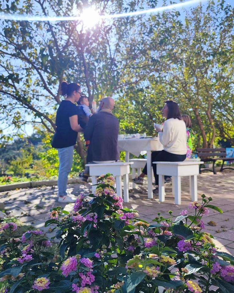 Agri Art Villa San Benedetto Ullano Buitenkant foto